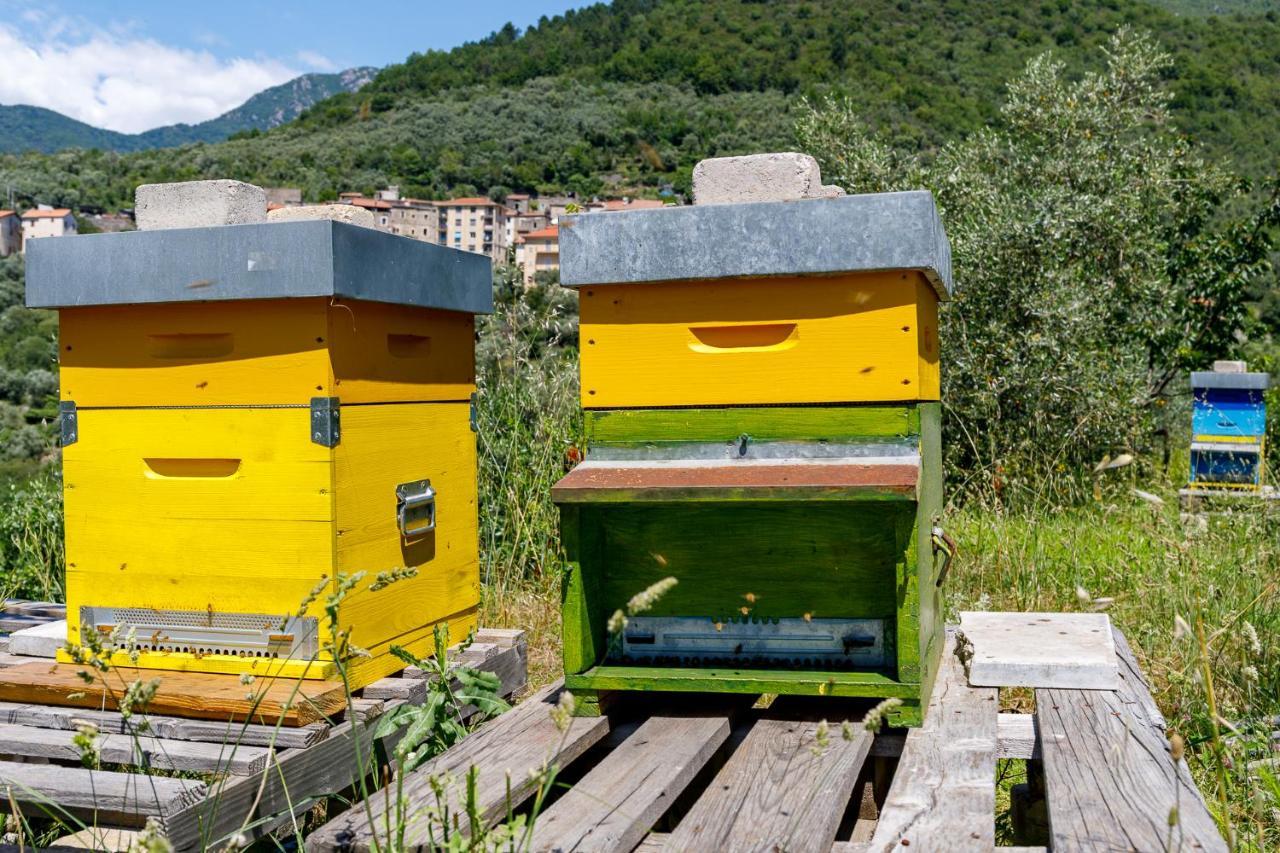 Arve Castelbianco - B&B E Appartamento Colletta Экстерьер фото